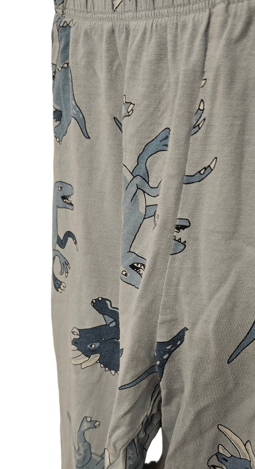 Pyjamas med dinosauriemotiv